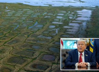 Congress passes measure to reverse Biden-era Alaskan petroleum reserve plan