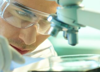 A Fresh Look at Tilray (NasdaqGS:TLRY) Stock Valuation After Recent Market Weakness