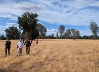 FABRIC and WRNS are planning mass timber production facility in California