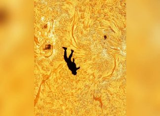 Have You Seen This? Detailed planning leads to stunning skydiving image