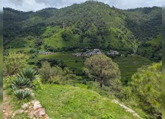 4,000 residents offline as phone signals remain out of reach | Dehradun News