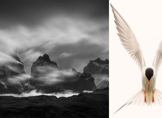 NANPA Showcase 2026 Features the World’s Best Nature Photography