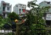 Typhoon Kalmaegi kills three in Vietnam after leaving 114 dead in Philippines