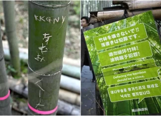 Graffiti at Kyoto’s famous Arashiyama bamboo grove prompts city to cut down some trees