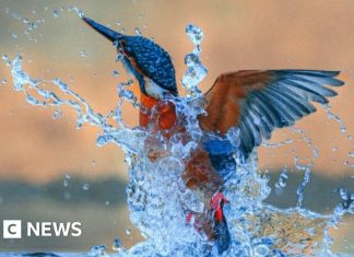 Photographs from around the country