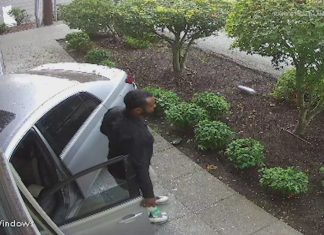 Car crashes into Rainier Health and Fitness, causing more than $50,000 in damage