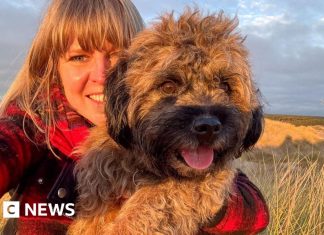 Our dogs’ diversity can be traced back to the Stone Age