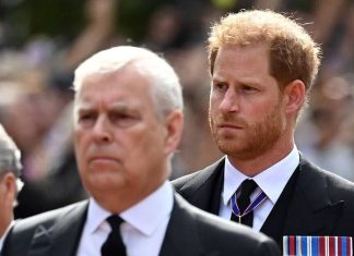Prince Harry furious over Prince Andrew decision – Celebrity News – Entertainment