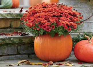 40 Outdoor Decoration Ideas For Fall