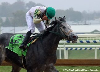 Laurel Park picks and ponderings: November 16, 2025 – The Racing Biz