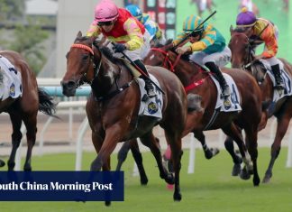 My Wish continues to thrive ahead of Jockey Club Mile: ‘I think on present form, he’s the one to beat’ | HK Racing