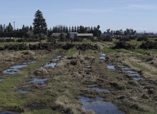 Mapping tool gives winegrape growers a closer look at their industry | News