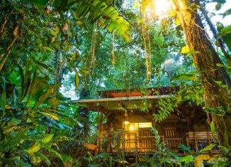 Where Americans want to travel in 2026 is ‘not so obvious,’ says Skyscanner – The Daily Gazette