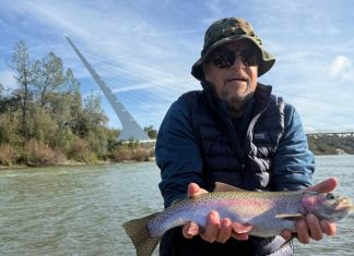 Denis Peirce: Sacramento Salmon Success | News