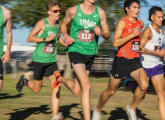UT Arlington cross-country laces up for NCAA South Central Regional | Sports