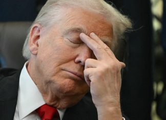 Fox Host Laura Ingraham Skewers Trump’s Plans for Next Renovation Target