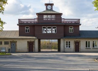 Auction of Holocaust items canceled after outrage – DW – 11/16/2025