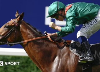 Cartier Racing Awards: Calandagan named horse of the year