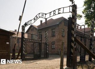 Auction of Nazi death camp artefacts cancelled, Poland’s DPM says