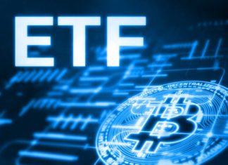 IBIT ETF News 11/11/25 – TipRanks.com