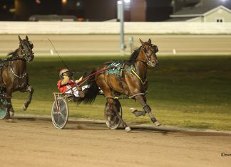 Summerside title races go down to the wire