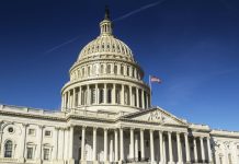 Stocks Recover on Government Reopening Hopes