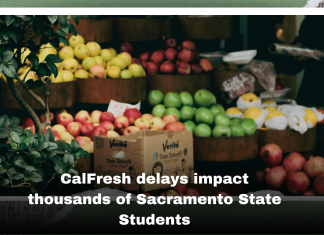 CalFresh delays hit Sac State students as government shutdown continues – The State Hornet