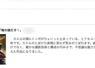 Photo Contest in Japan Rescinds Award for Stolen AI-Generated Pic