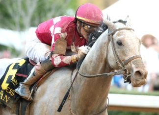 Gen Z and horse racing’s big hope