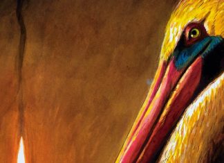 ‹ 5 Reviews You Need to Read This Week Book Marks