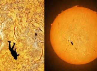 Astrophotographer Captures ‘Fall Of Icarus’ Shot Of Man Skydiving Through Sun | Watch | Viral News
