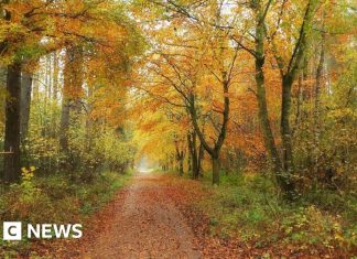 In pictures: Autumn colours in Scotland