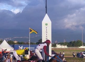 Caymanas Park to Resume Racing After Hurricane Melissa