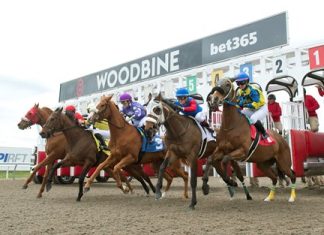 Woodbine Cancels Live Racing Nov. 16 Due to High Winds