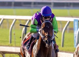 Second-Crop Stallion Mr. Money Gets First Stakes Winner