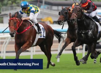 Zac Purton hopes Patch Of Stars can elevate again in first Class Two test | HK Racing