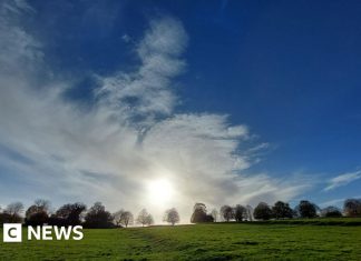 This week’s images from the south of England