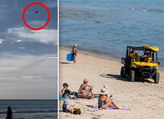 Beachgoers warned as planes patrol beaches after dangerous discovery: ‘Be aware’