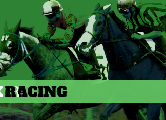 Race Result | 12 Nov 2025 | Happy Valley | Race 1 BEDFORD HANDICAP | HK Racing