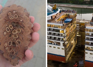 “Inside Of A Hot Air Balloon”: 80 Cool Pictures Of Things Taken Apart Or Opened Up – Bored Panda