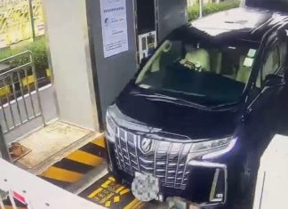 Cross-border driver caught smuggling cosmetics, phones at Huanggang Port – The Standard (HK)