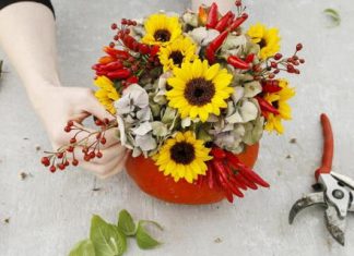 Pumpkin Decorating Ideas for Fall