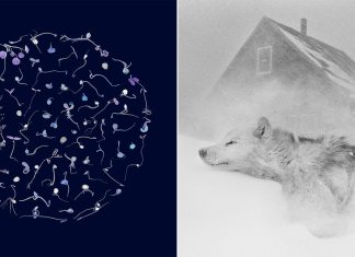 50 Photos From RPS Awards, the World’s Oldest Photography Prize