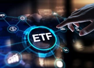 Daily VTI ETF Snapshot: Insights for Investors – 11/11/2025