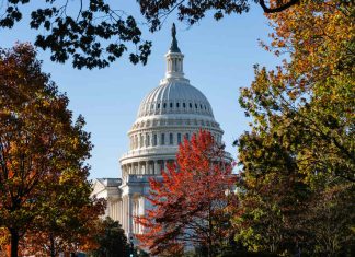 Trump Teases $2K Tariff Rebates for Each American As Lawmakers Race to End Shutdown; Trump Says End Health Plan Subsidies; Senate Meets Today; Thanksgiving Timeline?; Flight Delays