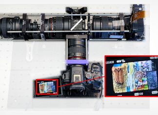 This Camera System Can Focus on Everything, Everywhere, All At Once