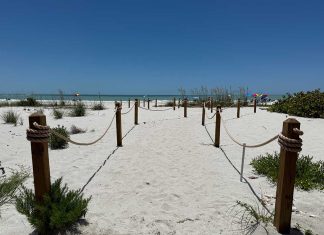 The gadgets that went with me on my Spring vacation (2025)