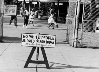 Celebrating ‘Black Photojournalism’ at the Carnegie Museum of Art