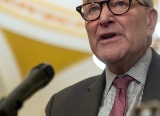 Why Democrats may have 'wind at their back' after shutdown fight : Here & Now Anytime – NPR