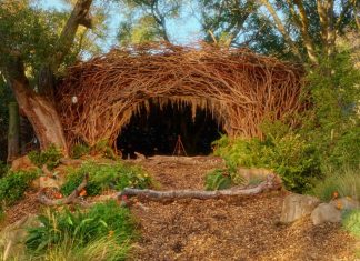 Cynthia Erivo’s Magical Woodland Retreat is on Airbnb